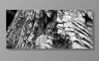 木材，木炭，烧，纹理，木，灰