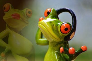 为你，歌曲，爱情，唱歌，青蛙，小姐，无花果，甜蜜，痛苦