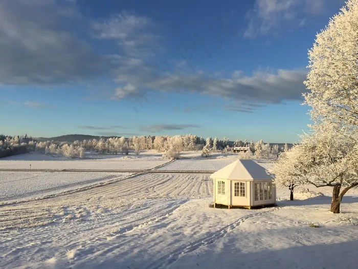 冬季，景观，雪，冬季景观，弗罗斯特，冷