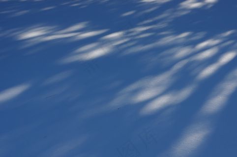 冬季，雪，阴影，白色，冷，季节性，雪花