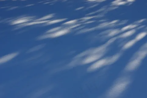 冬季，雪，阴影，白色，冷，季节性，雪花