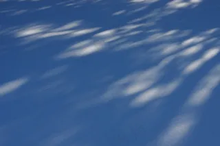 冬季，雪，阴影，白色，冷，季节性，雪花