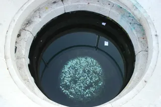 春天，幸福，硬币，爱，希望