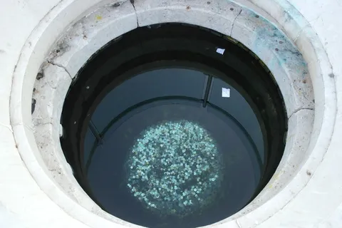 春天,幸福,硬币,爱,希望 春天,幸福,硬币,爱,希望