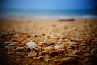 贝壳,海洋,砾石,湖泊,草原,海海岸沙海洋