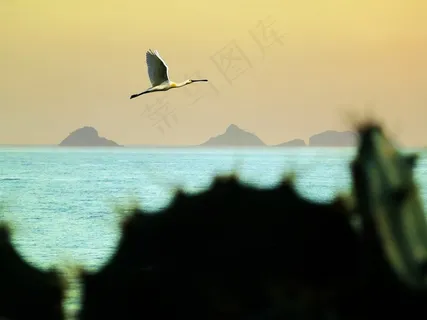 3月，海洋，海滩，Litoral，塞拉，山，鸟