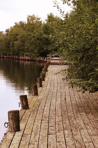 奥卢，芬兰，港口，海湾，水，木板路，码头