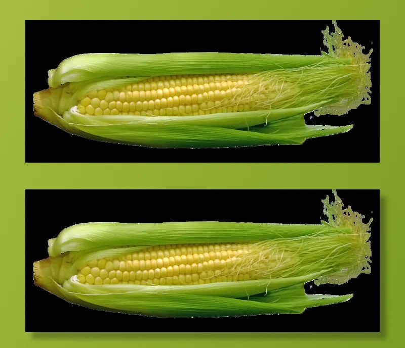 玉米，玉米棒，食品，蔬菜