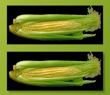 玉米，玉米棒，食品，蔬菜