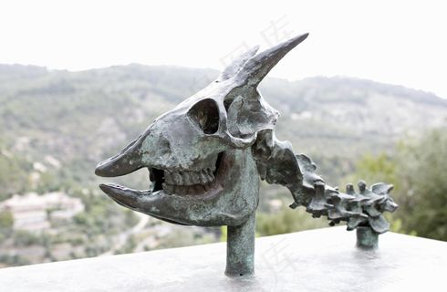 骨架，骷髅和交叉骨，头骨，骨，奖杯