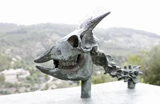 骨架，骷髅和交叉骨，头骨，骨，奖杯