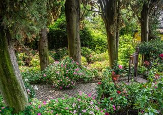 花园，鲜花，森林，自然，绿色，夏天，植物