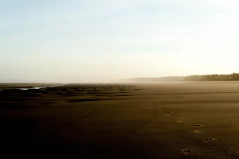 生活，美丽，场景，海滩，海洋，沙滩，天堂