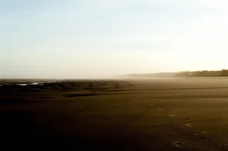 生活，美丽，场景，海滩，海洋，沙滩，天堂