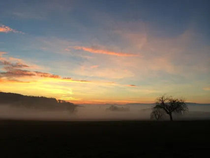雾，Abendstimmung，B，景观，日落，自然，天空