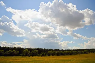 天空，云，夏天，场，景观，荒野