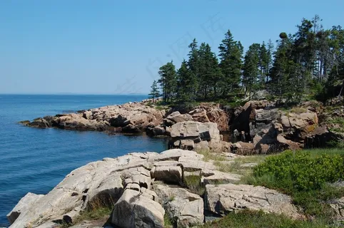 海，冷杉，缅因州