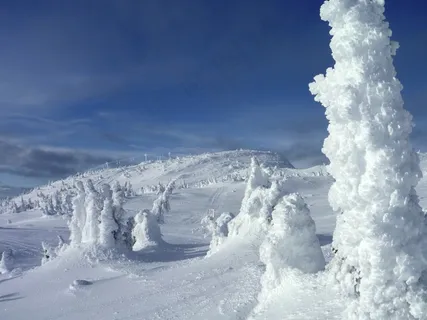 大白，加拿大，雪，景观，冬季，山
