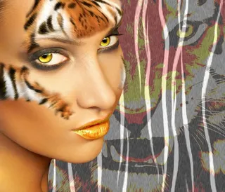 女人，虎，毛皮，捕食者，猫，动物，野生动物，眼睛