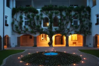 因斯布鲁克，奥地利，酒店，公寓，建筑物，常春藤