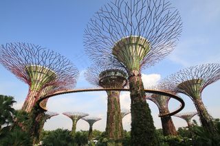 花园，Gardensbythebay，Supertree，新加坡