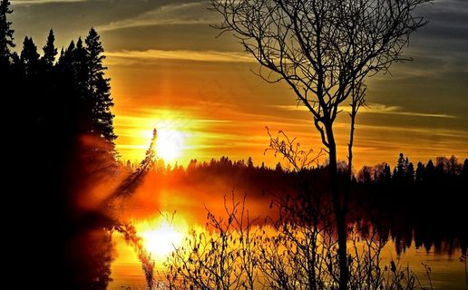 日落，景观，暮光之城，树，云，湖泊，夏天