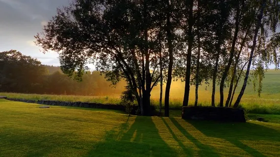 Šumava,晚上,日落,树木,桦木,遮阳,6月 Šumava,晚上,日落,树木,桦木,遮阳,6月