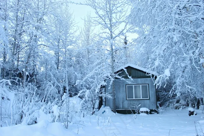 森林，房子，白色，冬冬季，冷，雪，冰，机舱