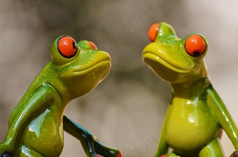 青蛙，搞笑，青蛙，动物，乐趣，无花果，可爱