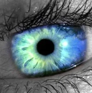 在灰色的背景上的蓝色虹膜