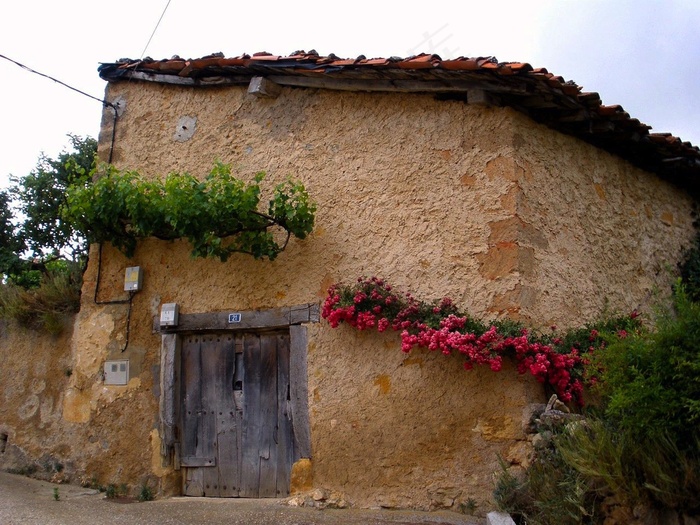 阿拉瓦，西班牙，建筑，房子，首页，鲜花