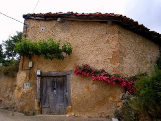 阿拉瓦，西班牙，建筑，房子，首页，鲜花