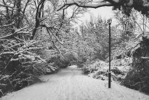 雪,步行,路径,冬天,自然,冷,行走 雪,步行,路径,冬天,自然,冷,行走