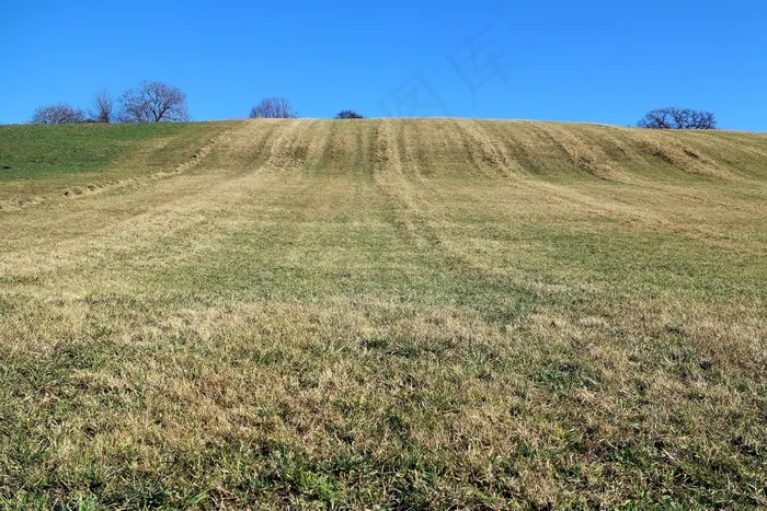草地，小山，地平线，超越地平线