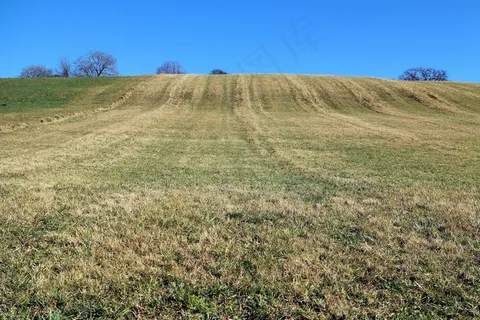 草地，小山，地平线，超越地平线