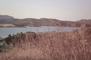 江河,芦苇,须芒草,湖泊,风滚草,海景观山自然