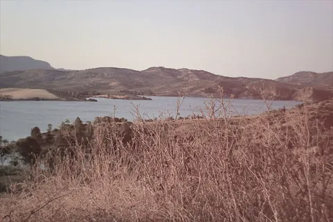 江河,芦苇,须芒草,湖泊,风滚草,海景观山自然 江河,芦苇,须芒草,湖泊,风滚草,海景观山自然