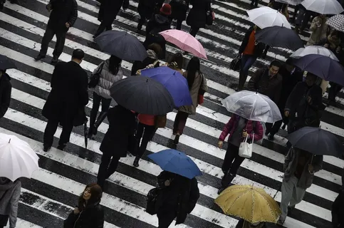 人,多雨,忙,日本,大阪,雨伞,湿 人,多雨,忙,日本,大阪,雨伞,湿