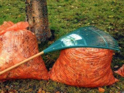 秋景，秋天，耙，叶子，花园，工具，橙色袋