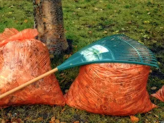 秋景，秋天，耙，叶子，花园，工具，橙色袋