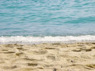 海，泡沫，沙，波浪，海滩