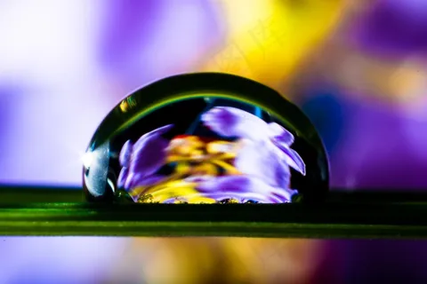 一滴水，滴水，草叶，开花，盛开