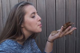 女孩，乐趣，秋，秋天的落叶，手，吹