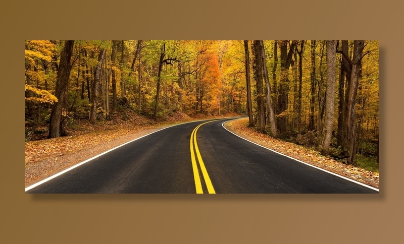 农村公路，秋，秋天，叶子，景区，多彩