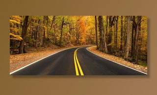 农村公路，秋，秋天，叶子，景区，多彩