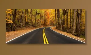 农村公路，秋，秋天，叶子，景区，多彩