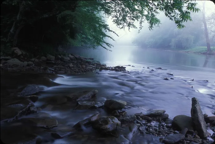 流动的水，溪流，荒野，海岸线，自然