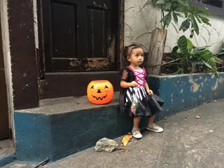 万圣节，小女孩，女孩，好奇，可爱，南瓜