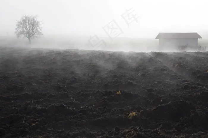 雾，心情，景观，雾银行，11月雾日