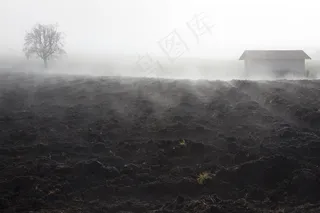 雾，心情，景观，雾银行，11月雾日